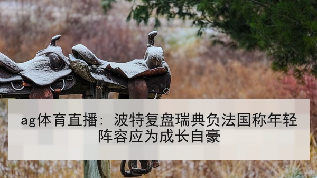 ag体育直播: 波特复盘瑞典负法国称年轻阵容应为成长自豪
