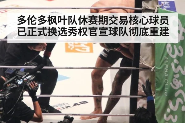 多伦多枫叶队休赛期交易核心球员已正式换选秀权官宣球队彻底重建